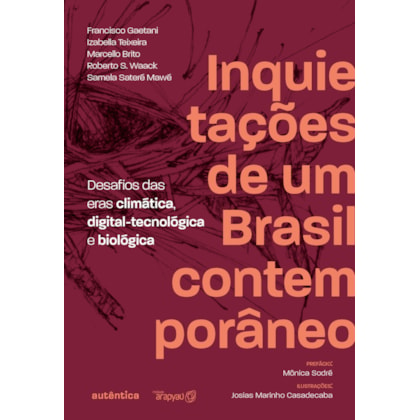 INQUIETAÇÕES DE UM BRASIL CONTEMPORÂNEO