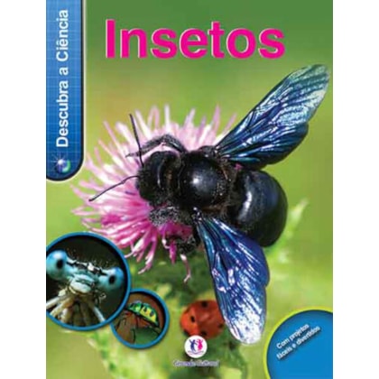 INSETOS