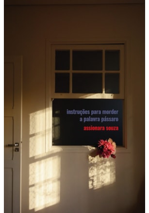 INSTRUÇÕES PARA MORDER A PALAVRA PÁSSARO