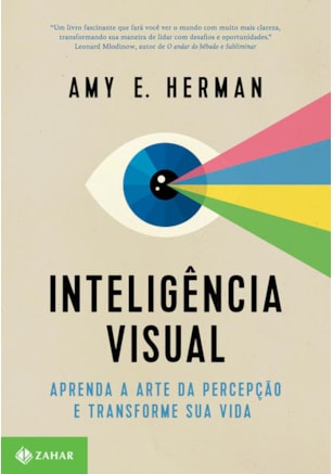 INTELIGÊNCIA VISUAL