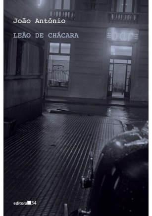 LEÃO DE CHÁCARA