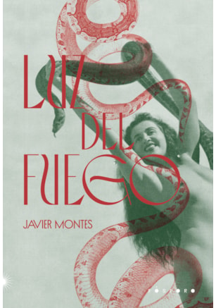 LUZ DEL FUEGO