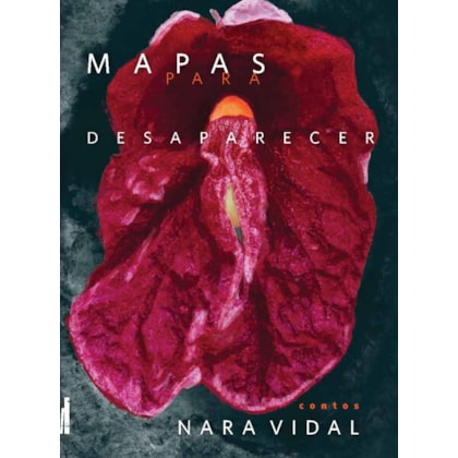 MAPAS PARA DESAPARECER