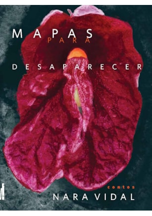 MAPAS PARA DESAPARECER