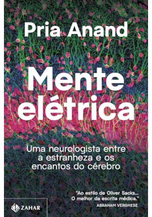 Mente elétrica