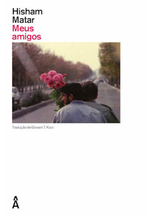 Meus amigos