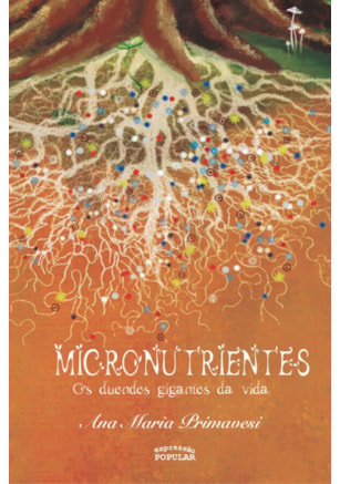 MICRONUTRIENTES – OS DUENDES GIGANTES DA VIDA