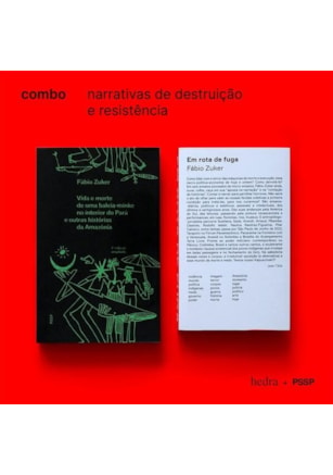 NARRATIVAS DE DESTRUIÇÃO E RESISTÊNCIA