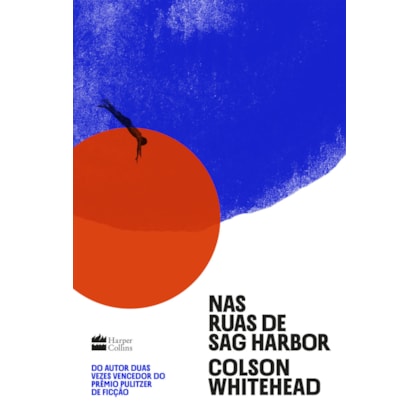 NAS RUAS DE SAG HARBOR – UM ROMANCE DE FORMAÇÃO SOBRE RAÇA, CLASSE E MASCULINIDADE DO VENCEDOR DO PRÊMIO PULITZER