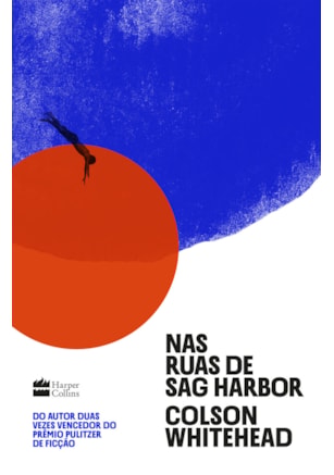 NAS RUAS DE SAG HARBOR – UM ROMANCE DE FORMAÇÃO SOBRE RAÇA, CLASSE E MASCULINIDADE DO VENCEDOR DO PRÊMIO PULITZER