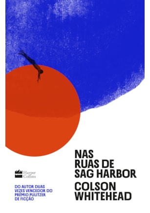 NAS RUAS DE SAG HARBOR – UM ROMANCE DE FORMAÇÃO SOBRE RAÇA, CLASSE E MASCULINIDADE DO VENCEDOR DO PRÊMIO PULITZER