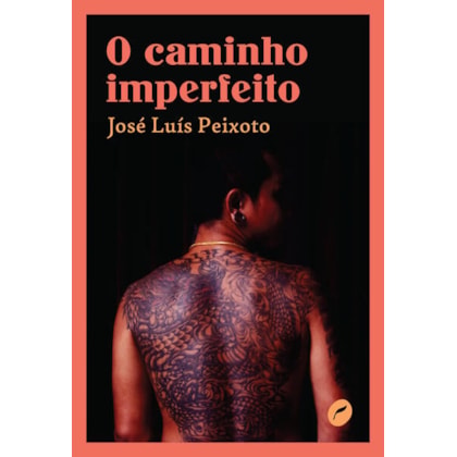 O CAMINHO IMPERFEITO