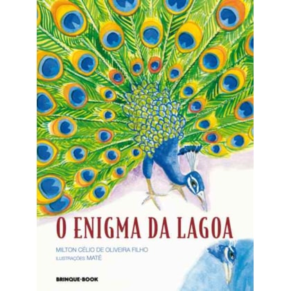 O ENIGMA DA LAGOA