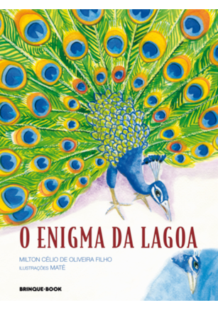 O ENIGMA DA LAGOA