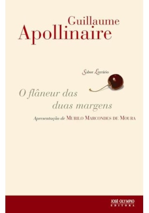 O FLÂNEUR DAS DUAS MARGENS
