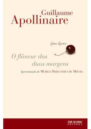 O FLÂNEUR DAS DUAS MARGENS