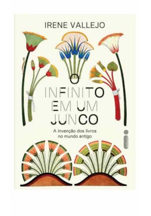 O INFINITO EM UM JUNCO