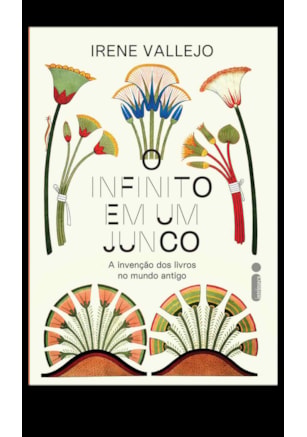 O INFINITO EM UM JUNCO