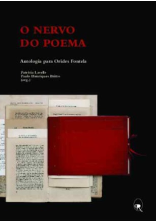 O NERVO DO POEMA