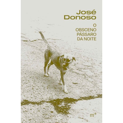 O obsceno pássaro da noite