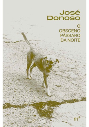 O obsceno pássaro da noite