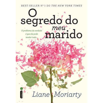 O SEGREDO DO MEU MARIDO