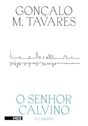O senhor Calvino