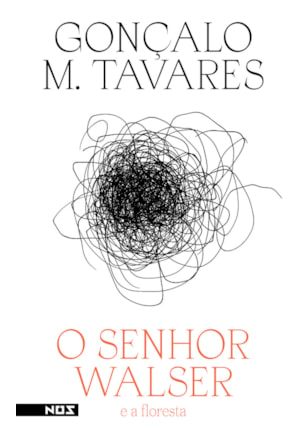 O senhor Walser