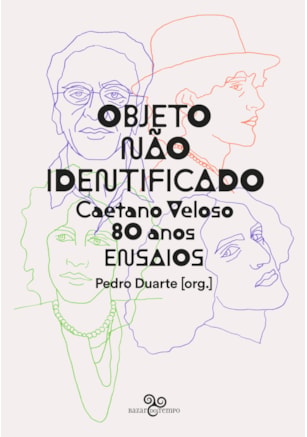 OBJETO NÃO IDENTIFICADO
