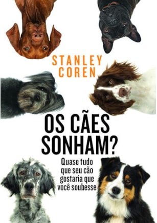 OS CÃES SONHAM?