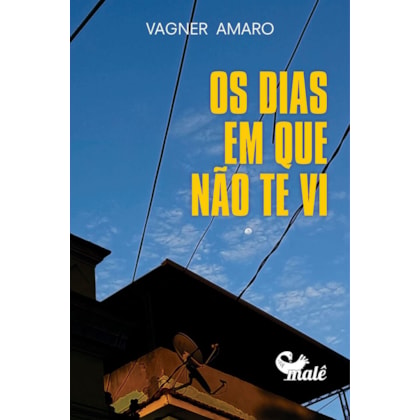 OS DIAS EM QUE NÃO TE VI