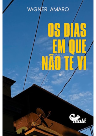 OS DIAS EM QUE NÃO TE VI