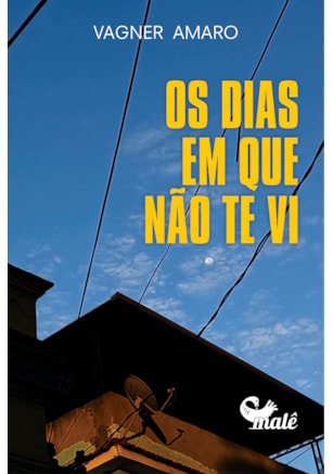 OS DIAS EM QUE NÃO TE VI