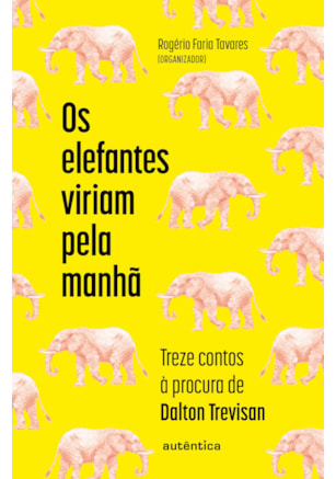Os elefantes viriam pela manhã: