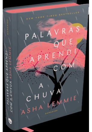 PALAVRAS QUE APRENDI COM A CHUVA
