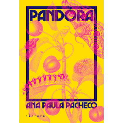 PANDORA