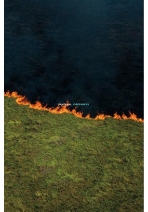 PANTANAL