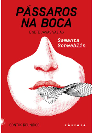 PÁSSAROS NA BOCA E SETE CASAS VAZIAS