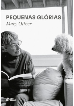 Pequenas glórias