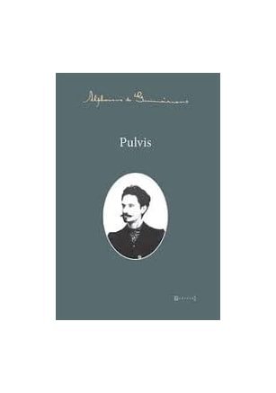 PULVIS