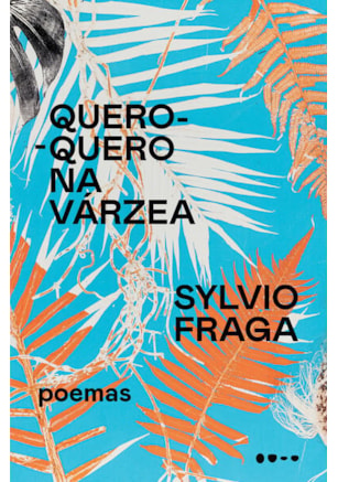 QUERO-QUERO NA VÁRZEA