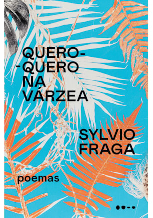 QUERO-QUERO NA VÁRZEA