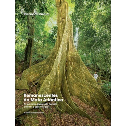 REMANESCENTES DA MATA ATLÂNTICA