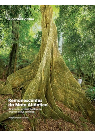 REMANESCENTES DA MATA ATLÂNTICA
