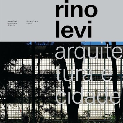 RINO LEVI