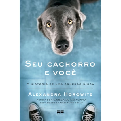 SEU CACHORRO E VOCÊ