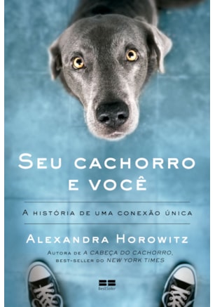 SEU CACHORRO E VOCÊ