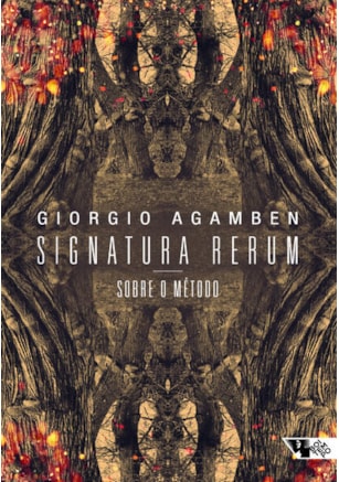 Signatura rerum