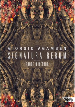 Signatura rerum