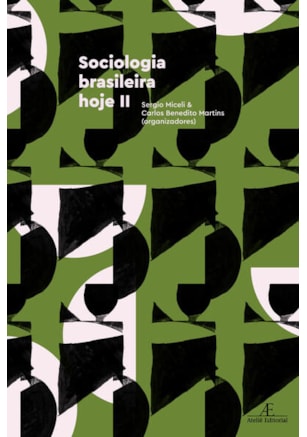 SOCIOLOGIA BRASILEIRA HOJE II